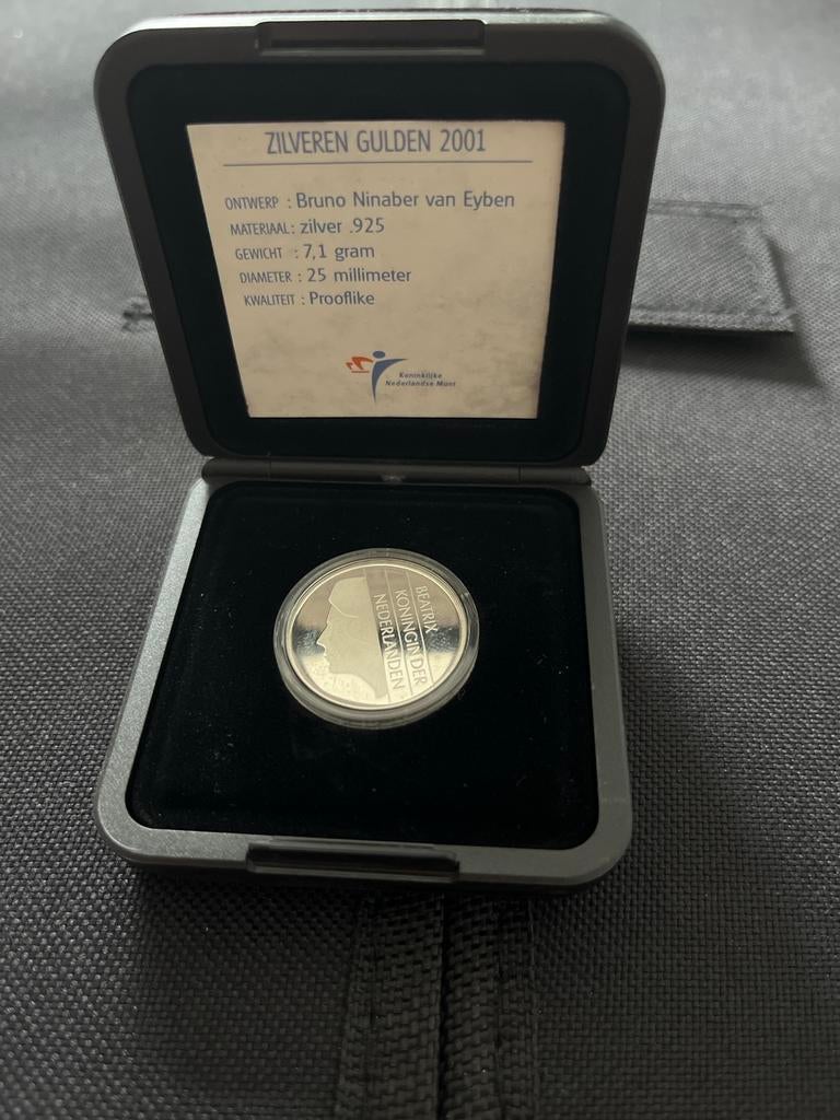 Zilveren Gulden 2001 Beatrix Prooflike, Postzegels en Munten, Munten | Nederland, 1 gulden, Koningin Beatrix, Zilver, Ophalen of Verzenden