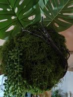 Grote wilgentenen bol met kunstplanten, Ophalen, Zo goed als nieuw, Binnen