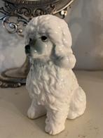Schattig hondenbeeldje Poedel, Ophalen of Verzenden, Zo goed als nieuw, Dier