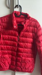 Moncler tussenjas (bieden), Kleding | Dames, Jassen | Zomer, Zwart, Ophalen of Verzenden, Zo goed als nieuw, Maat 34 (XS) of kleiner