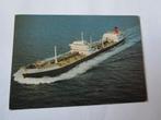 Ansichtkaart afbeelding schip de m.s.Acmaea Shell tankers, Verzamelen, Scheepvaart, Verzenden, Gebruikt, Motorboot, Kaart, Foto of Prent