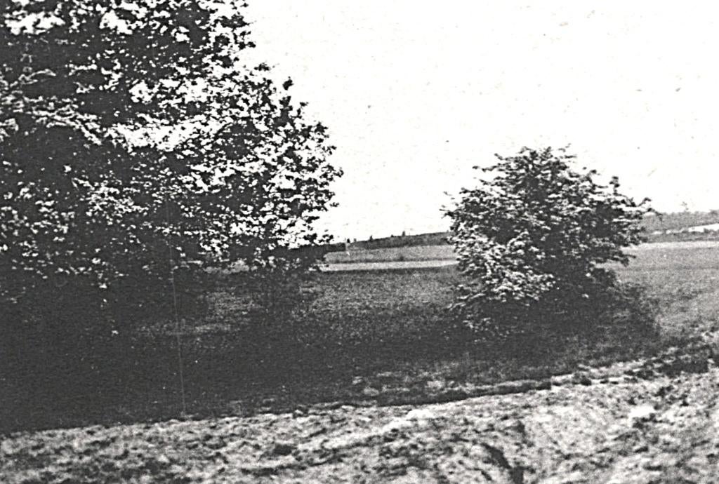 948329 Lunteren Gld 1938 Bloeiende Hagedoorn Goudsberg, Ophalen of Verzenden, 1920 tot 1940, Gelopen, Gelderland