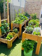 Moestuinbak van Douglashout, Tuin en Terras, Ophalen, 100 cm of meer, Nieuw, Balkon