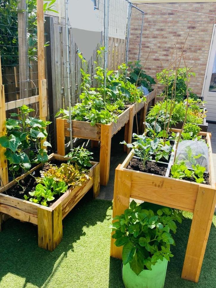 Moestuinbak van Douglashout, Tuin en Terras, Bloembakken en Plantenbakken, Nieuw, Hout, Balkon, Tuin, 60 cm of meer, 100 cm of meer