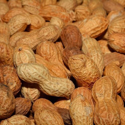 Doppinda's  10kg - Buitenvogelvoer, Dieren en Toebehoren, Dierenvoeding, Ophalen