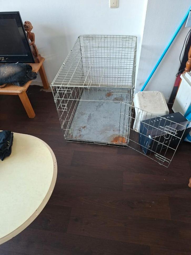 Bench, Dieren en Toebehoren, Overige Dieren-accessoires, Gebruikt, Ophalen