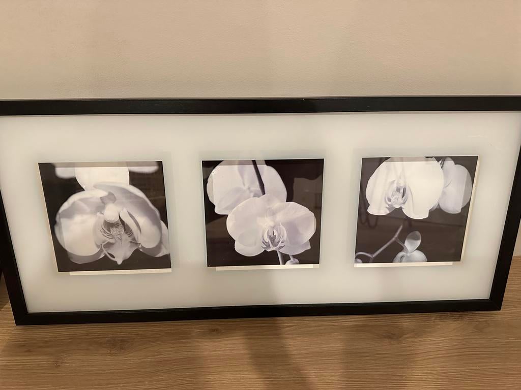 Zwart-wit fotolijst met orchideeën, Ophalen, Gebruikt, 75 tot 100 cm, Foto of Poster