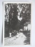 P185 Zeeland - Zuid-Beveland - Klederdracht, Verzenden, 1940 tot 1960, Gelopen, Zeeland