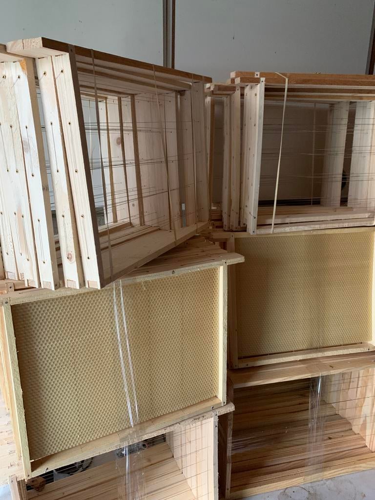 Ramen voor bijenkasten, Bijen