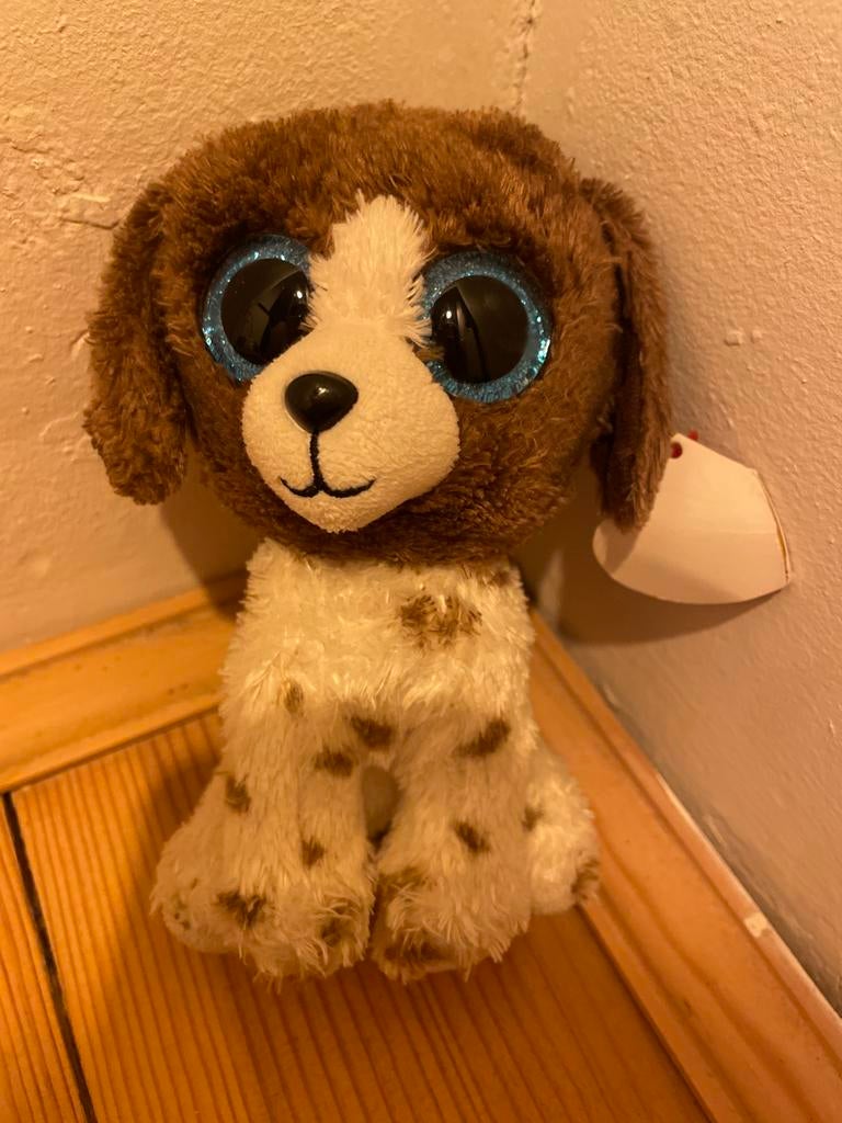 Ty knuffel hondje Muddles, Ophalen, Hond, Klein (minder dan 20 cm), Bruin