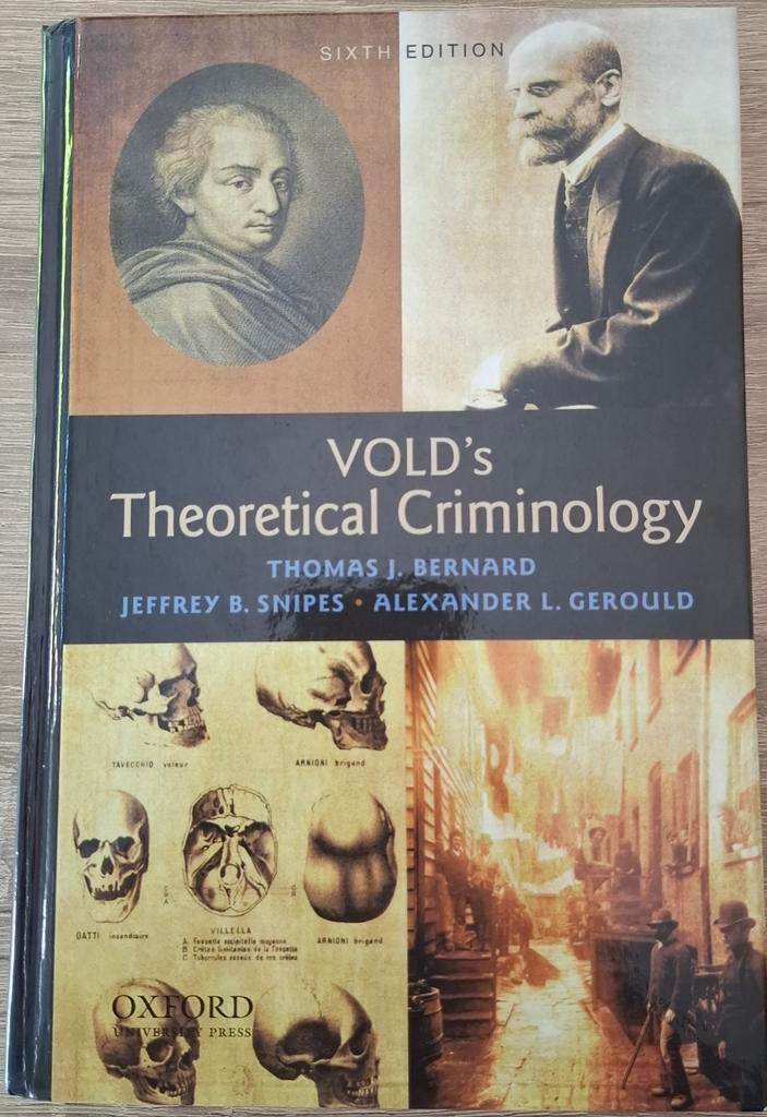 Vold's Theoretical Criminology - Sixth Edition, Boeken, Ophalen of Verzenden, Beta, Gelezen, WO