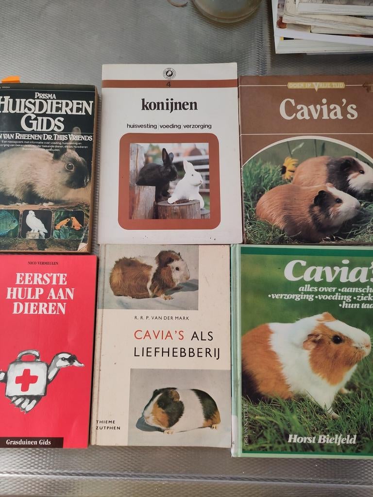 Boekjes over voornamelijk cavia's en konijnen - gratis, Boeken, Ophalen, Gelezen, Konijnen of Knaagdieren