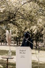 Pampas pluimen in grote glazen vazen | Deco voor bruiloft, Huis en Inrichting, Woonaccessoires | Droogbloemen, Ophalen, Zo goed als nieuw