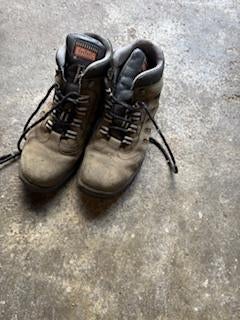 wandelschoenen maat 44, Sport en Fitness, Bergsport en Wandelen, Ophalen, Gebruikt, Schoenen