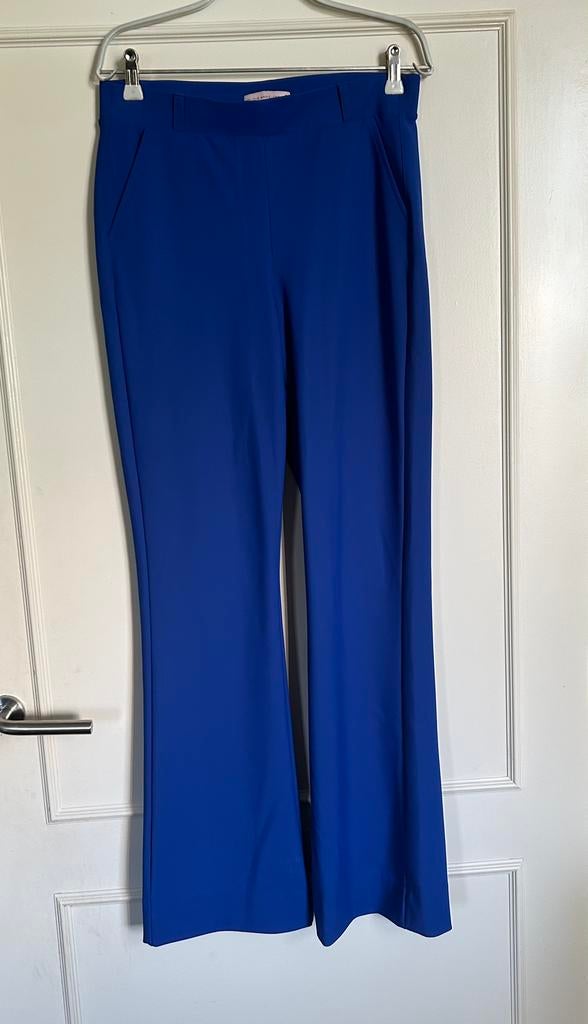 Kobalt blauwe Studio Anneloes Flair, Flaired broek M, Ophalen of Verzenden, Nieuw, Blauw, Lang