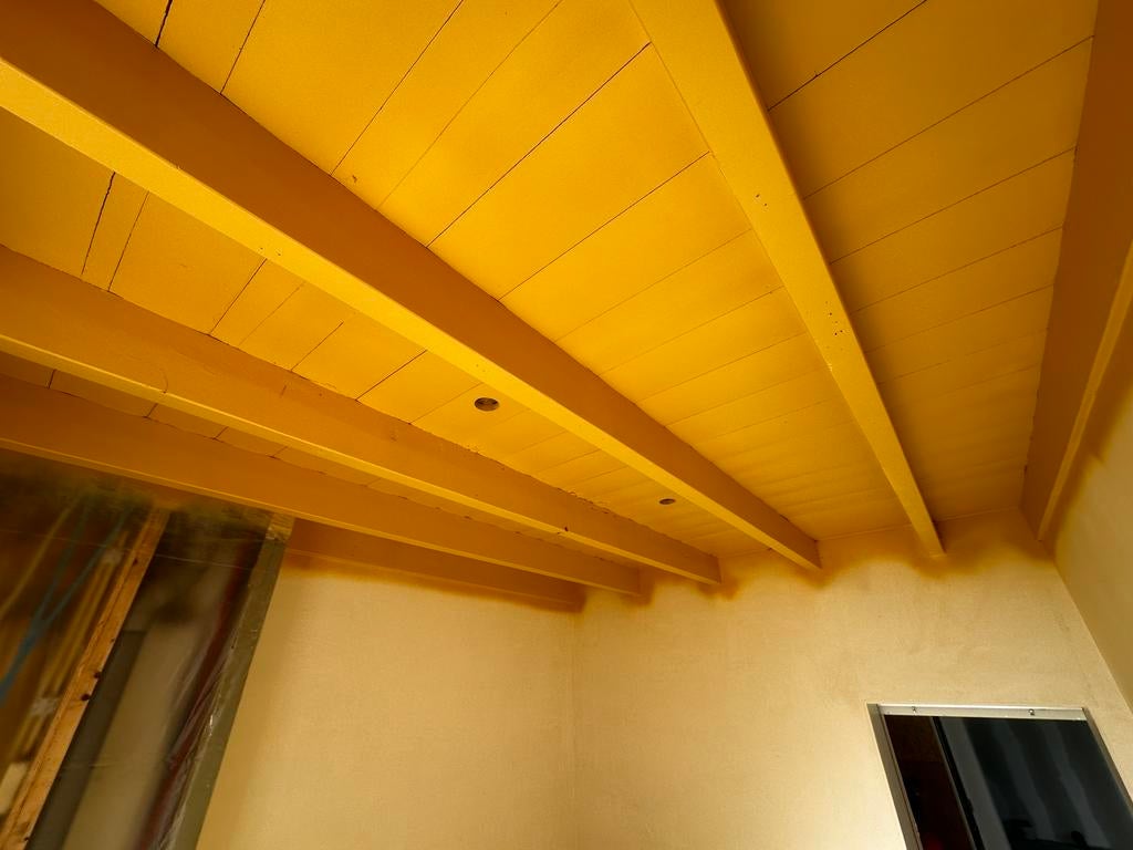 Spuiten van wanden / plafonds / trap / deur / keuken, Ophalen of Verzenden, Nieuw, Overige typen