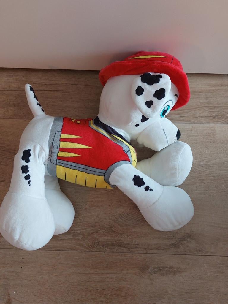 Paw  patrol, Ophalen, Hond
