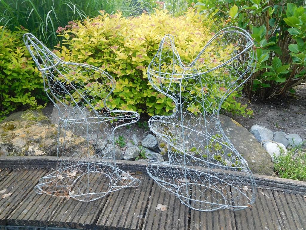 Vormen voor buxus, Tuin en Terras, Planten | Tuinplanten, Ophalen, Bloeit niet, Overige soorten, Halfschaduw