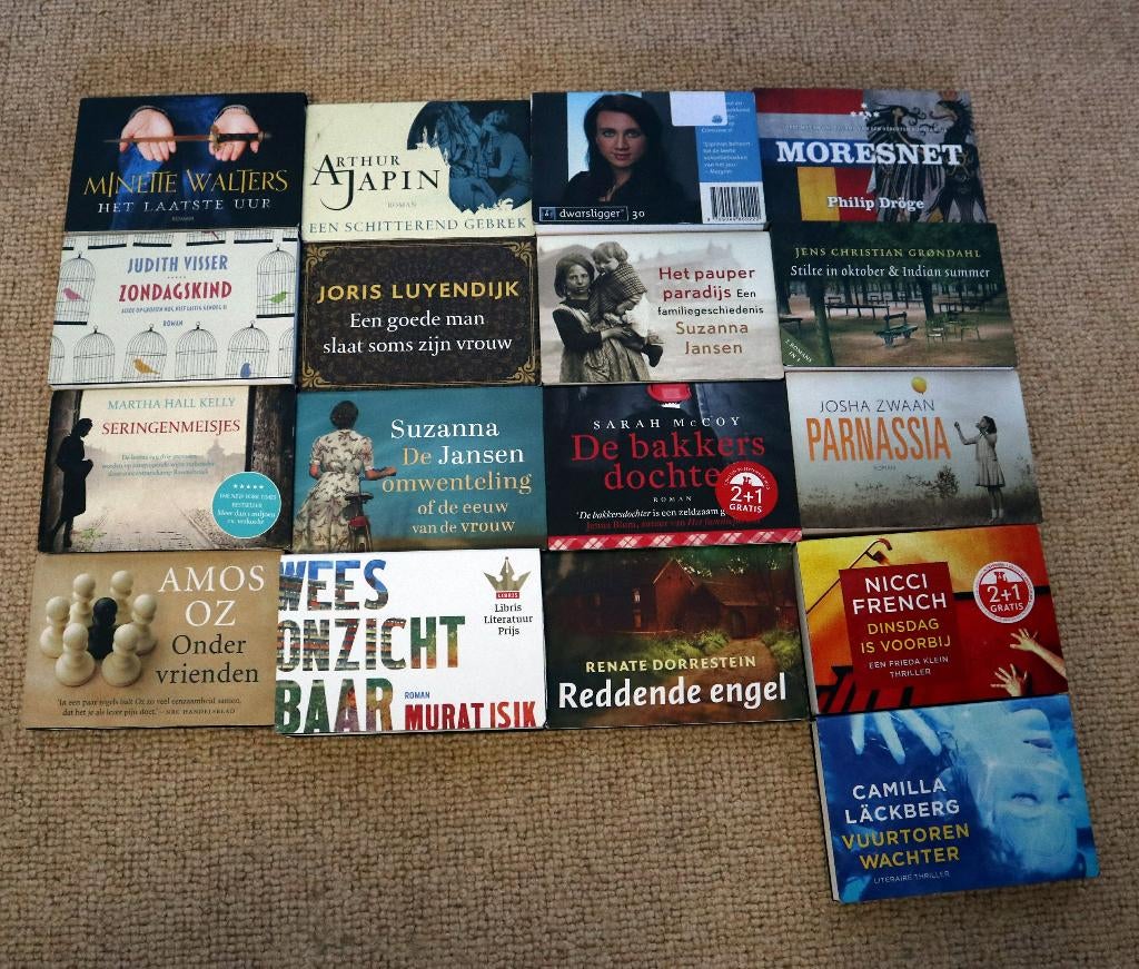 Fraai boekenlos: 20 literaire romans - goed staat, Boeken, Ophalen, Zo goed als nieuw