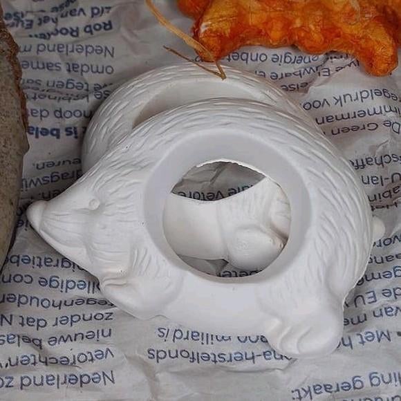 Witte egel (servet)ringen /decoratie, Ophalen of Verzenden