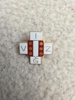 Verpleegster speld "Van Itterson Ziekenhuis Gouda" VIZG., Ophalen of Verzenden, Gebruikt