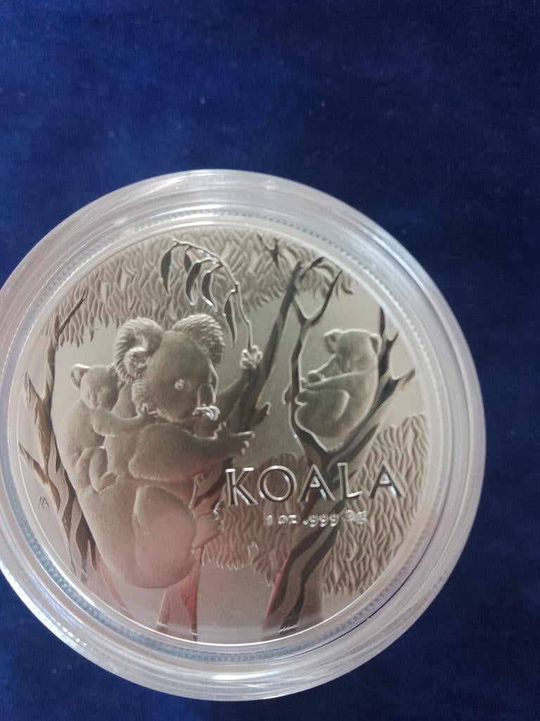 Koala 2026 1 oz zilver, Ophalen of Verzenden, Zilver