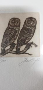 Uilen: 3 etsen van Hartmut Sparling in fraaie lijsten, Ophalen of Verzenden, Zo goed als nieuw, Vogel, Beeldje of Figuurtje