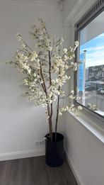 Kunstboom /bloesemboom kantoor, Ophalen, Zo goed als nieuw