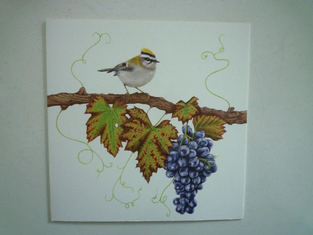 Kunstkaart vuurgoudhaantje op druivenrank vogel Wandalin, Ophalen of Verzenden, Voor 1920, Vogel