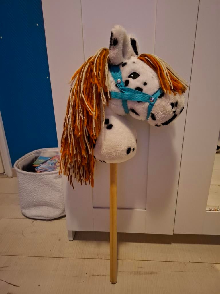 Stokpaard Stip, Ophalen, Zo goed als nieuw, Jongen of Meisje