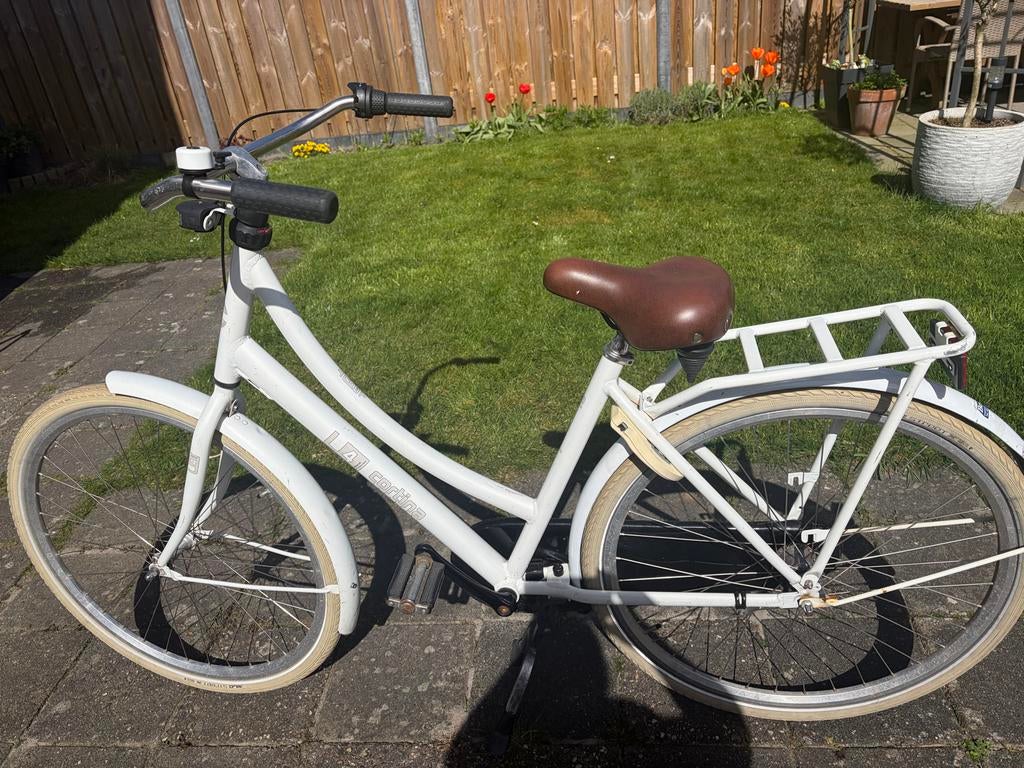 Cortina U4 Transportfiets Dames - Maat 53 - Wit, Fietsen en Brommers, Fietsen | Dames | Damesfietsen, Overige merken, Versnellingen
