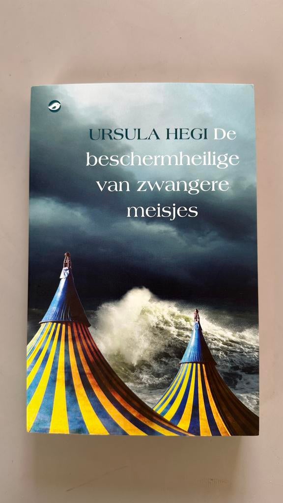 Ursula Hegi - De beschermheilige van zwangere meisjes, Ophalen of Verzenden, Nieuw, Ursula Hegi