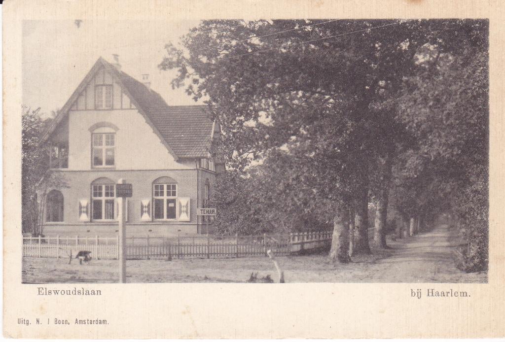Haarlem. Elswoudslaan.  **, Verzenden, Voor 1920, Ongelopen, Noord-Holland