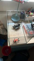 Glazen aquarium, Gebruikt, Vierkant, Ophalen of Verzenden, Glas