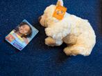 Pluche knuffels ijsbeer - KIKA beer - nieuw, Ophalen of Verzenden, Nieuw, Beer