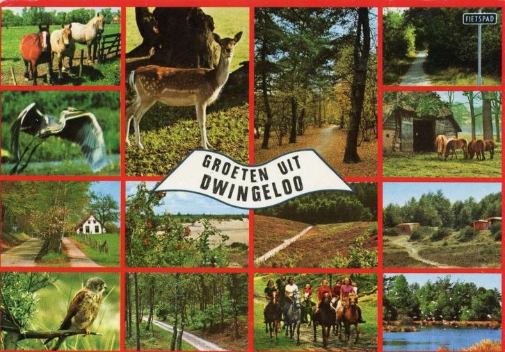 DWINGELOO Meerluik Groeten, Verzamelen, Ansichtkaarten | Nederland, Gelopen, Drenthe, 1960 tot 1980, Verzenden