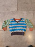 Truitje maat 62, Kinderen en Baby's, Babykleding | Maat 62, Ophalen of Verzenden, Zo goed als nieuw, Jongetje, Truitje of Vestje