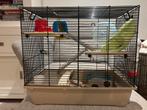 Hamsterkooi, Dieren en Toebehoren, Kooi, Gebruikt, Minder dan 75 cm, Hamster