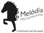 Paarden stage, Vacatures, Starter, MBO, Geschikt als bijbaan, Stage