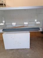 Broed - uitvliegkooi Van Keulen, Dieren en Toebehoren, Vogels | Hokken en Kooien, Ophalen, Hout, Broedkooi of Kweekkooi