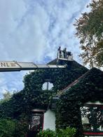Hoveniers / tuinman voor aanleg en onderhoud, Garantie, Hekwerk of Schuttingen