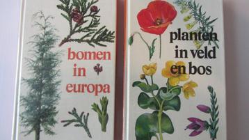 2bkn - Bomen in Europa  +  Planten in veld en bos beschikbaar voor biedingen