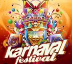 1 kaartje te koop karnaval festival 10 februari, Tickets en Kaartjes, Evenementen en Festivals, Eén persoon