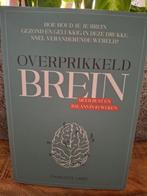 Overprikkeld Brein - Charlotte Labee, Ophalen of Verzenden, Zo goed als nieuw, Overige onderwerpen, Charlotte Labee