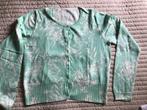 Groen met wit vest, Ophalen of Verzenden, Zo goed als nieuw, Maat 38/40 (M), Groen