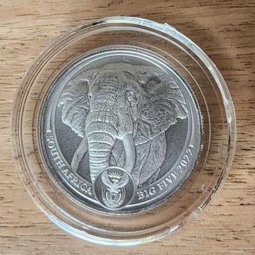 1oz Platina Big Five Olifant 2022 beschikbaar voor biedingen