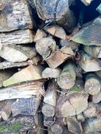 Gedroogd Eiken Haardhout, Minder dan 3 m³, Ophalen, Eikenhout, Blokken