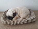 Mopshond, pug perfect petz, Ophalen of Verzenden, Zo goed als nieuw, Overige typen