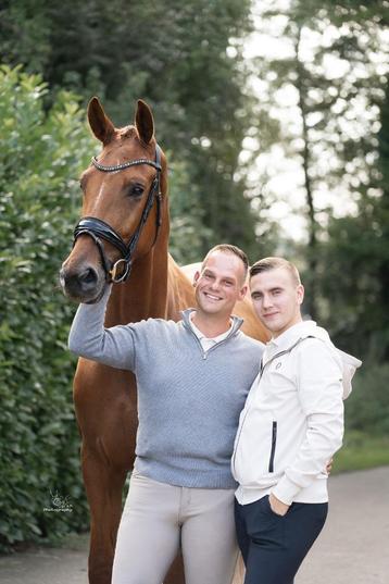 DS Sporthorses - Vakantiestalling op vijfsterrenniveau beschikbaar voor biedingen