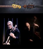 Basgitaar en Contrabas lessen, Diensten en Vakmensen, Muziekles en Zangles, Privéles, Snaarinstrumenten